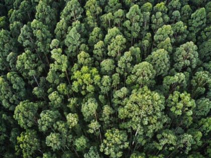 Всероссийское экологическое тестирование стартует в этом месяце