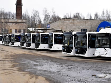 И.о. главы транспортного комитета Кировской области стал Михаил Ставицкий