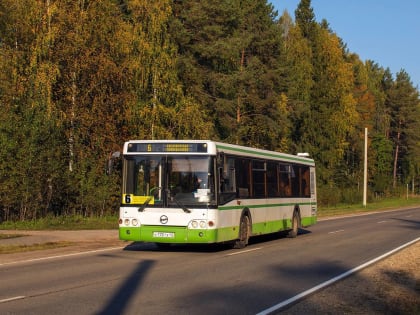 Нумерация городских маршрутов общественного транспорта может измениться в 2026 году