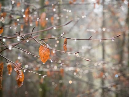 Дождь и снег