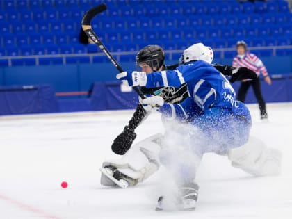 Кировчан ждут на Чемпионате студенческой лиги по хоккею с мячом