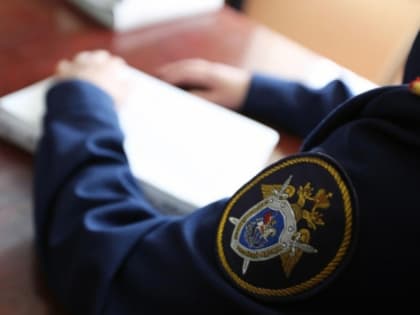 В Лузском районе проводится проверка по факту пожара, в результате которого погиб мужчина