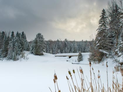 Без существенных осадков