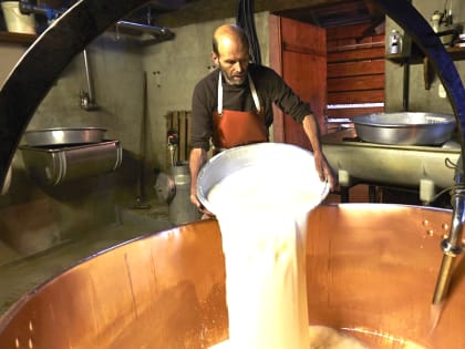 Кировские сыровары сварили полтора кило сыра из воздуха