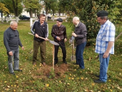 В Кильмези высадили кедры