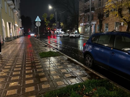 Попытка №2. На улице Карла Либкнехта рядом с Театральной площадью снова высадят рябины