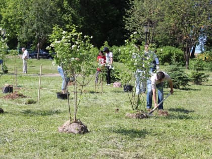 Кировчане выберут территории для благоустройства