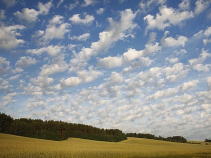Погода продолжает радовать теплом