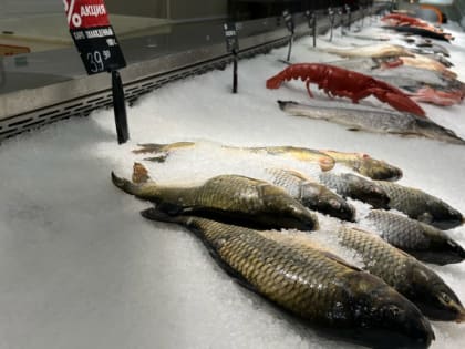 Рыба, которую вообще нельзя подавать к столу: а мы едим еще и детям даем - в ней живут паразиты