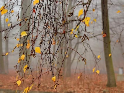 Не похоже на ноябрь