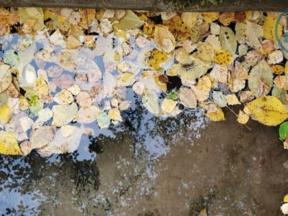 В районе Метрограда построят ливневку с очистными сооружениями