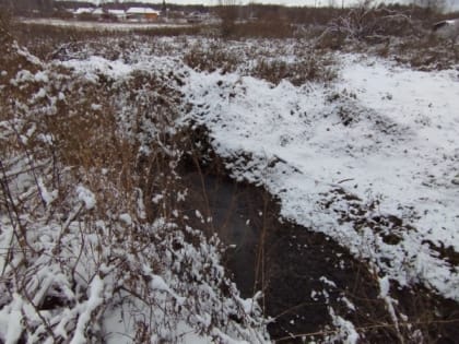 В Кировской области обнаружили загрязненную реку: специалисты взяли пробы воды