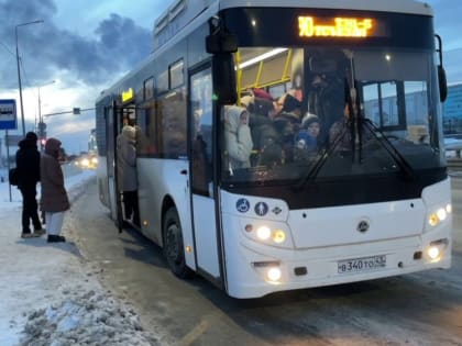 Жители Чистых Прудов продолжают жаловаться на проблемы с автобусами