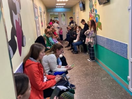 В Кировской области 188 человек заразились мышиной лихорадкой