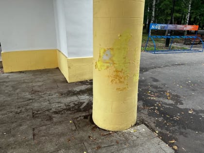 Входная группа Александровского сада нуждается в новом ремонте