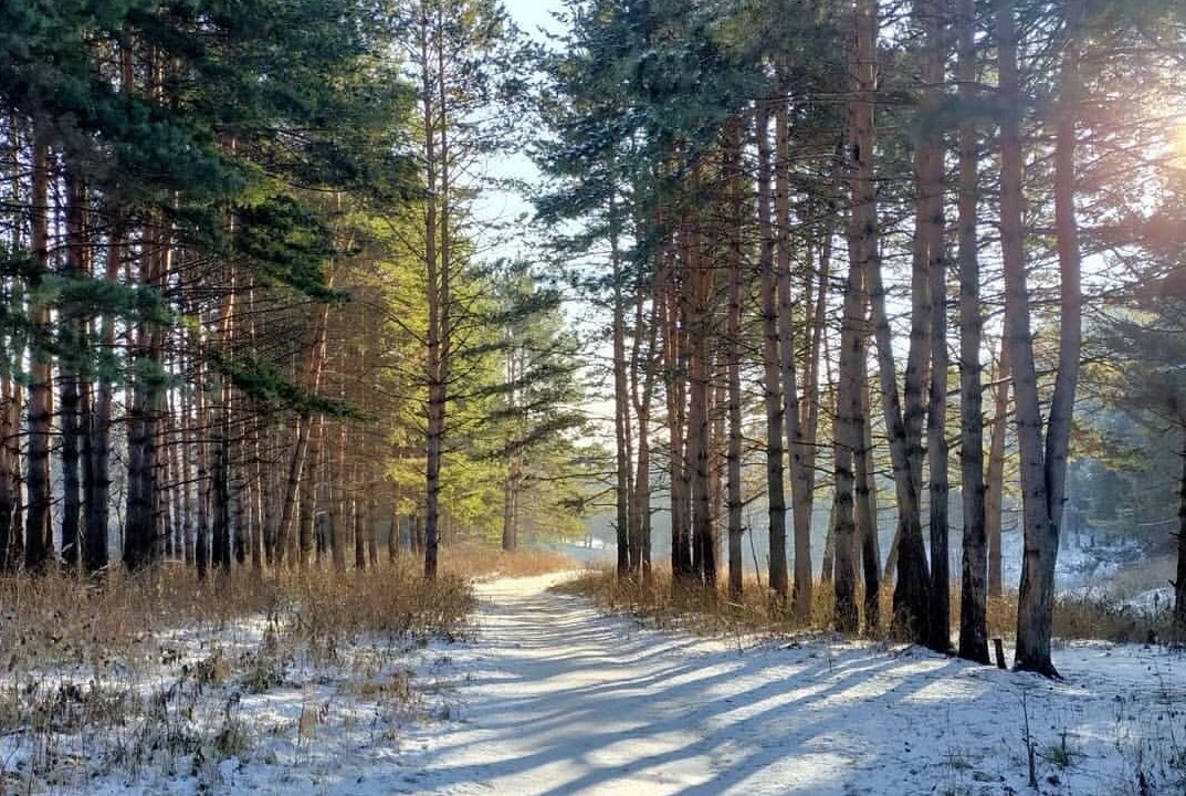 Предзимье картинки. Предзимье природа. Ноябрь в Сибири. Утро предзимье.