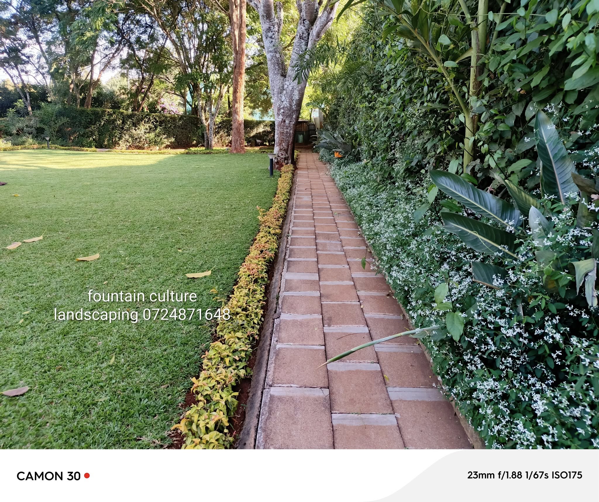 Landscaping Project 3