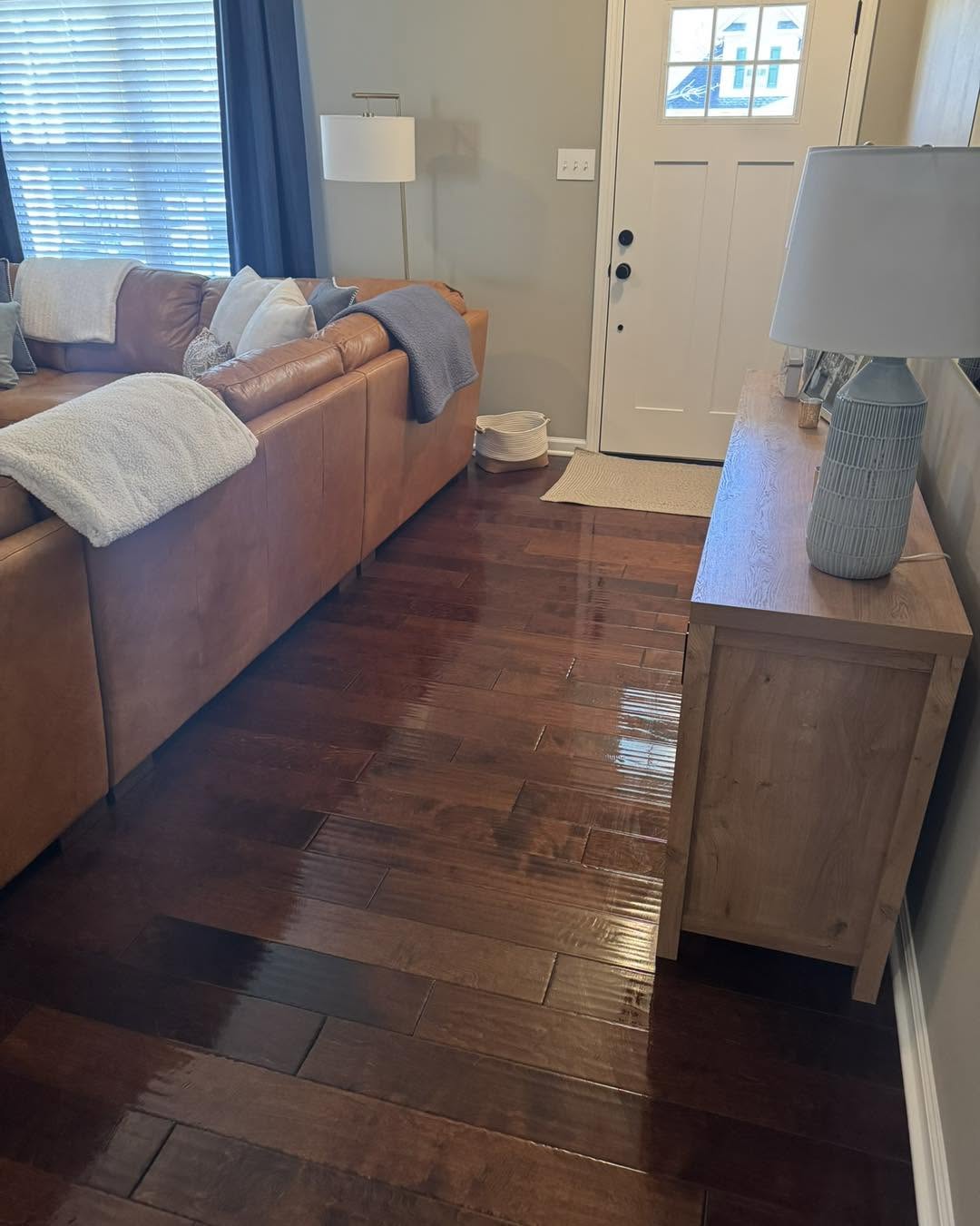 Basic Cleans
