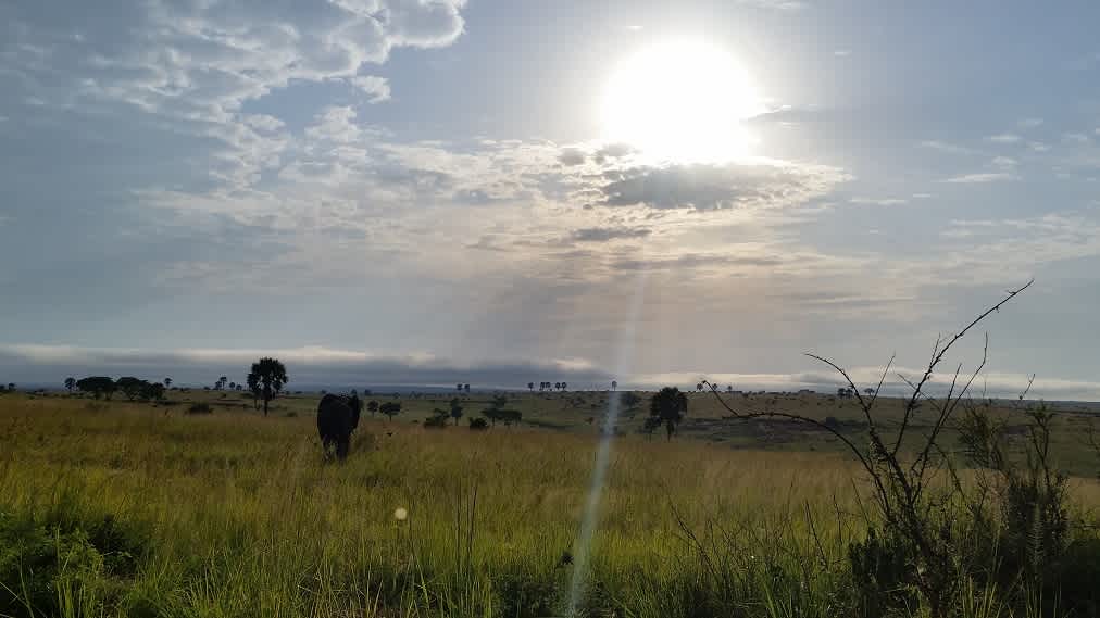 uganda