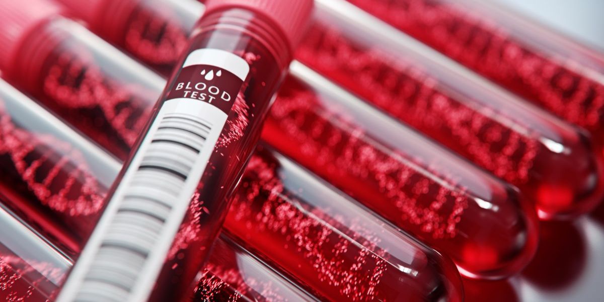 Understanding the Importance of Kidney Health Awareness