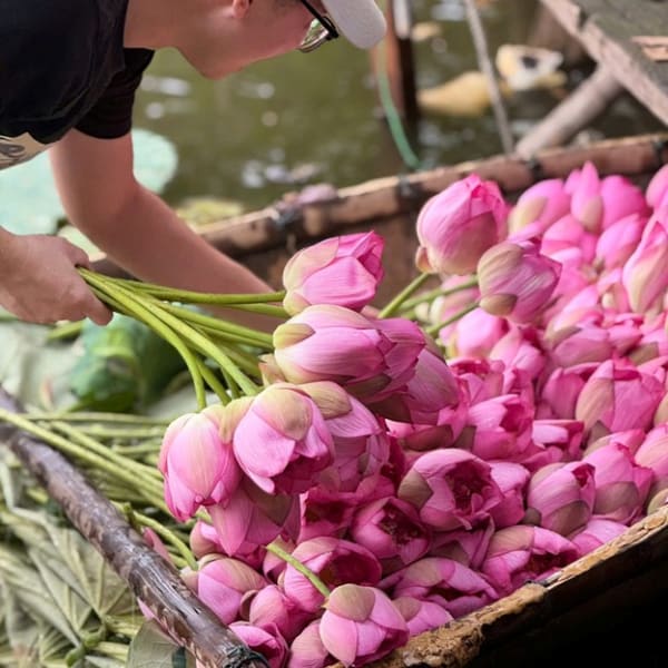 Quy trình ướp trà bông sen Tây Hồ