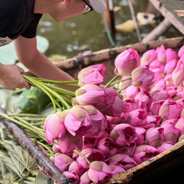 Quy trình ướp trà bông sen Tây Hồ