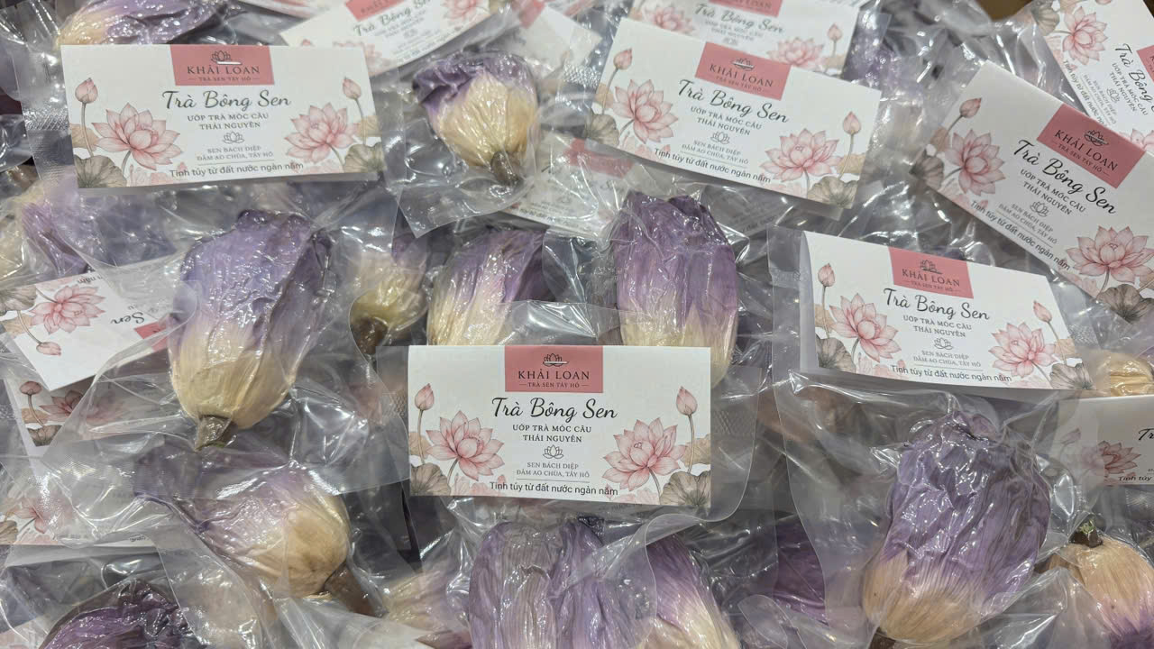 Hộp Trà Sen Thăng Hoa – Móc Câu
