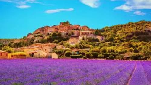Lavender field in bloom with hilltop village and stone buildings in Provence, France