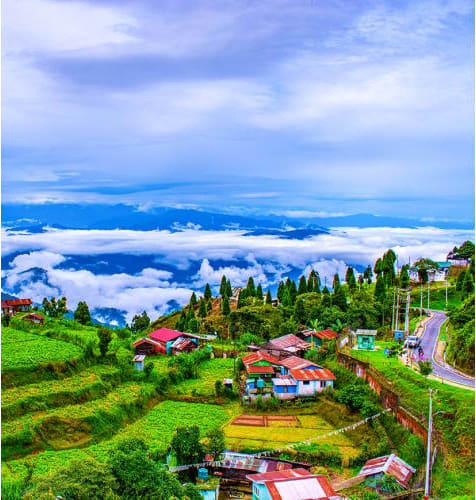 Aerial view of Darjeeling hillside village with colorful houses, lush green terraced fields, pine forests, and sea of clouds