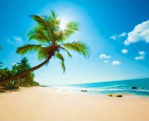 Tropical beach in Port Blair with palm tree, white sand, turquoise ocean, and clear blue sky