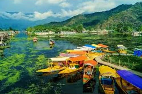 Colorful wooden boats moored in Dal Lake with mountains and vegetation in background, Srinagar Kashmir