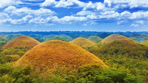 Bohol