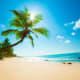 Tropical beach in Port Blair with curved palm tree, sandy shore, clear blue ocean and sky