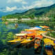 Colorful wooden boats moored in Dal Lake with mountains and green water in Srinagar, Kashmir