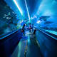 Visitors walking through an underwater tunnel at Aquaria KLCC with fish and rays swimming in the blue-lit acrylic tunnel abov