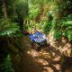 ATV riders on a narrow jungle trail surrounded by lush green ferns and vegetation in Bali forest