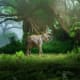 Young elephant standing in misty jungle beneath ancient trees with hanging vines and lush green vegetation