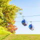 Blue cable car gondolas suspended over lush green hillside with autumn trees against clear sky
