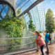 Two visitors observing lush green vines climbing the curved glass structure of a botanical conservatory dome with metal frame