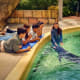 Children observing a ray in a large aquarium tank at Singapore Oceanarium