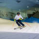 Ski Dubai Tickets, From USD 72.16