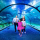 Family walking through underwater tunnel at National Aquarium Abu Dhabi with rays and fish swimming overhead