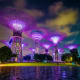 Illuminated Supertrees at Gardens by the Bay in Singapore at night, reflected in water with purple lighting