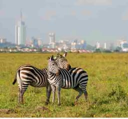 Nairobi City