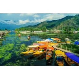 Srinagar