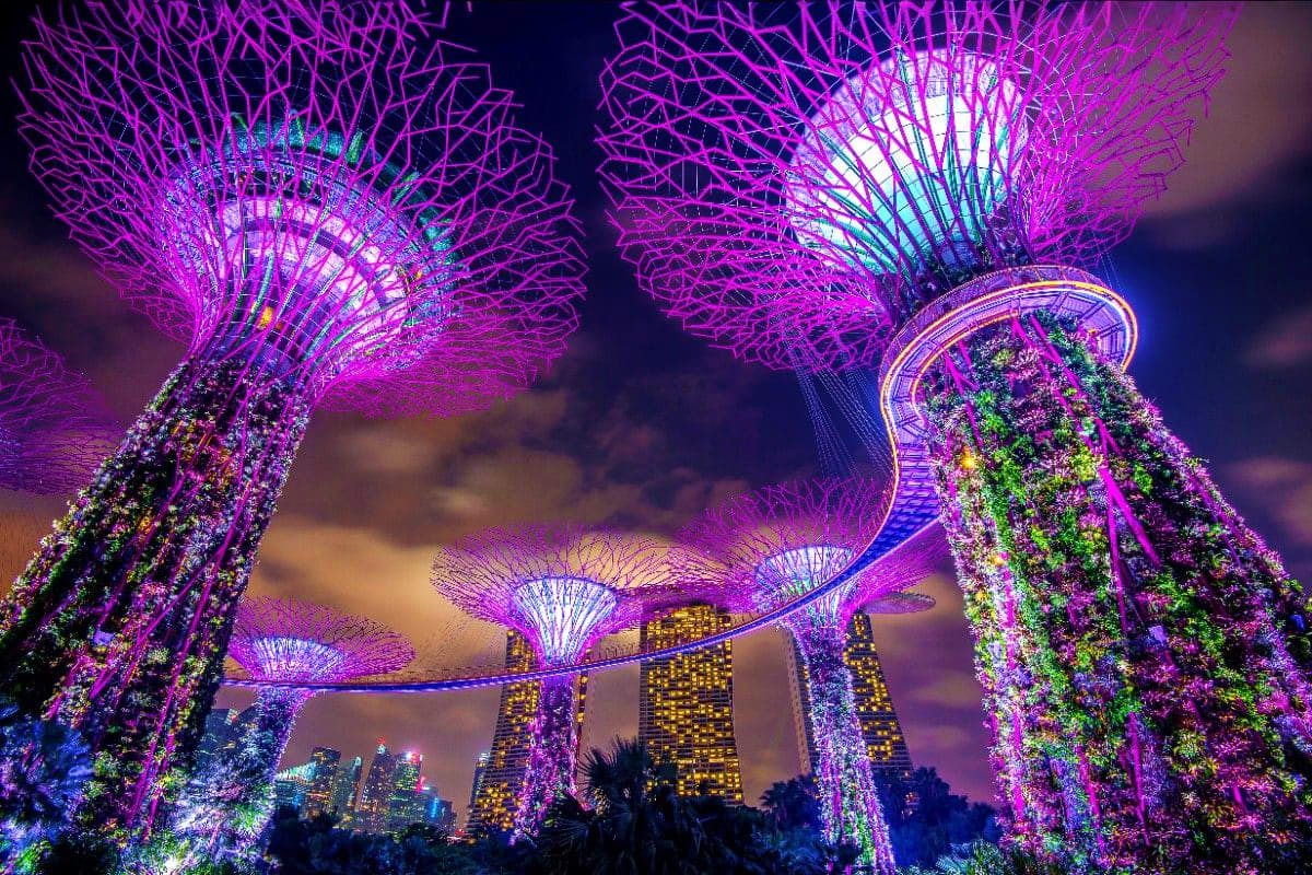 Gardens By the bay