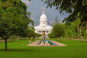 Transfer to Colombo & Sightseeing Tour