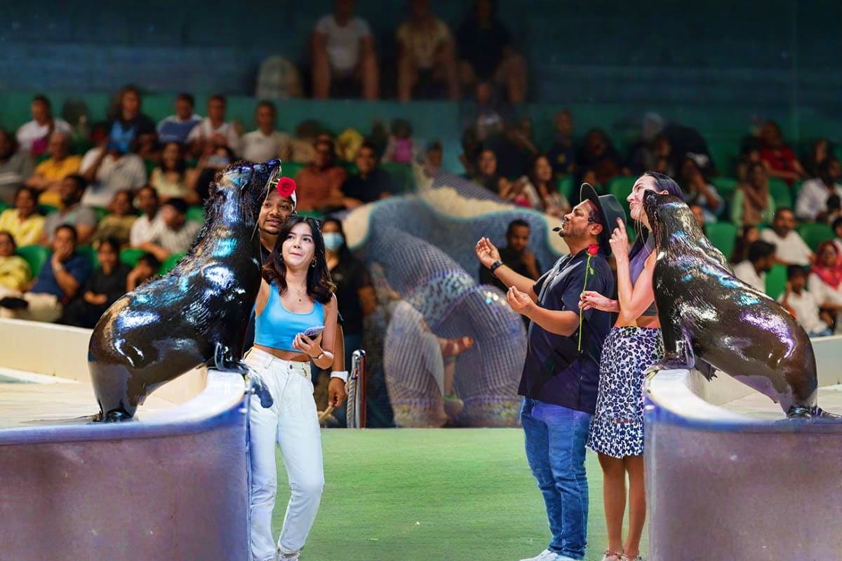 Dubai Dolphinarium from Abu Dhabi Dolphin 2