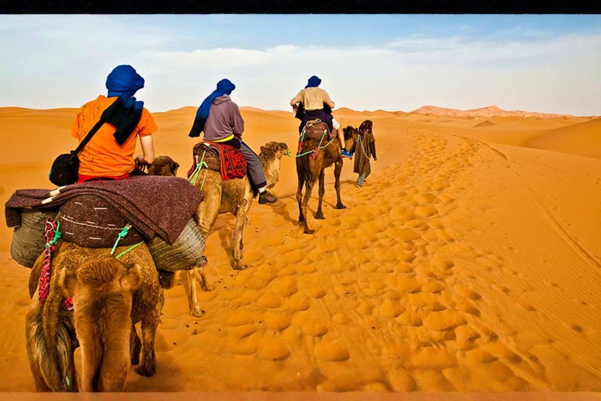 Ras Al Khaimah Desert Safari from Dubai camel-trekking