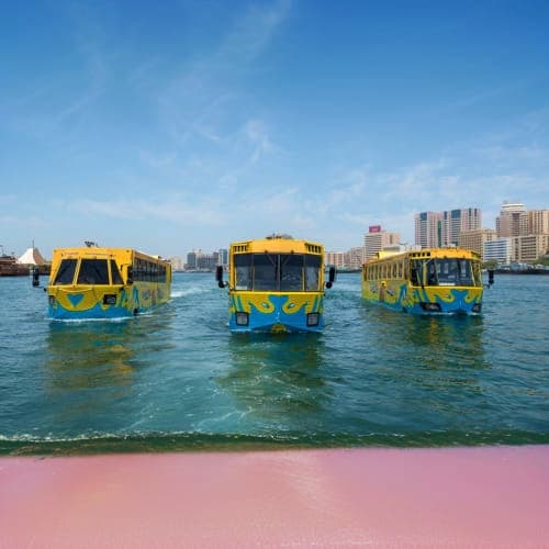 wonderbus_dubai